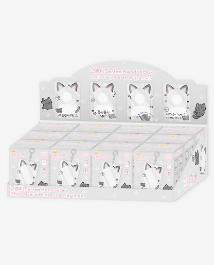 Ducky world - Being Kitty Photocard Holder Random Box