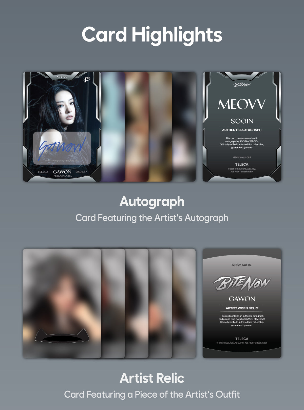 Card highlights - Autograph and Artist Relic
