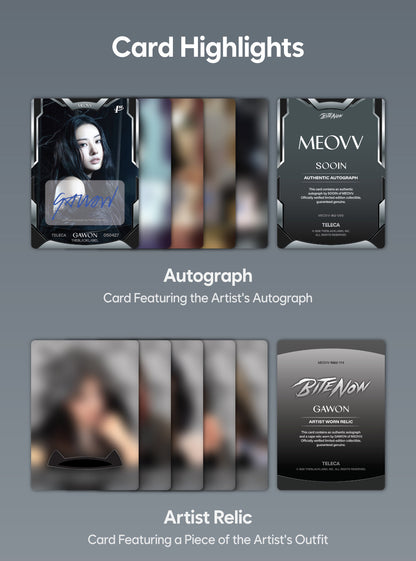 Card highlights - Autograph and Artist Relic